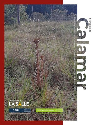 cover image of Municipio de Calamar (Guaviare)